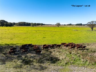 154 Scabben Flat Road Taralga NSW 2580 - Image 2