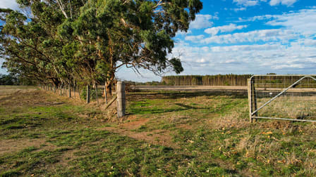 Codrington-Bessiebelle Road Bessiebelle VIC 3304 - Image 3