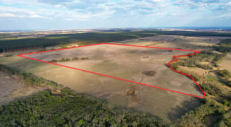 Codrington-Bessiebelle Road Bessiebelle VIC 3304 - Image 2