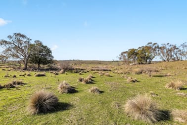1031 Cootralantra Road Cooma NSW 2630 - Image 3