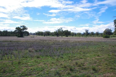 293 Highfield Lane Narrabri NSW 2390 - Image 3