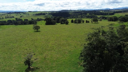 Glen Allyn QLD 4885 - Image 3