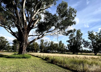81 Pollocks Lane Quirindi NSW 2343 - Image 1