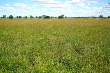 Marionvale, Surat Yuleba Road Surat QLD 4417 - Image 2