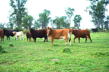 Marionvale, Surat Yuleba Road Surat QLD 4417 - Image 1