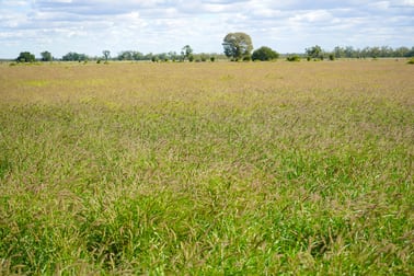 Marionvale, Surat Yuleba Road Surat QLD 4417 - Image 1