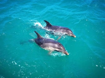 Marine  business for sale in Lakes Entrance - Image 2