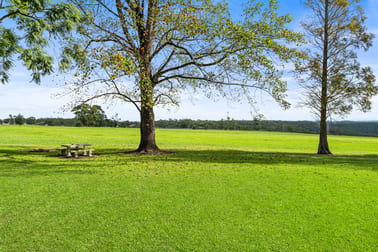 191 Bloodtree Road Mangrove Mountain NSW 2250 - Image 3