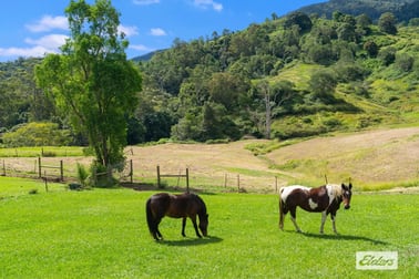 12 Wiseman Road Mount Delaney QLD 4514 - Image 3