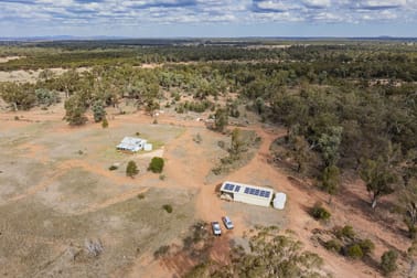 1017 Wilga Ridge Road Fifield NSW 2875 - Image 2