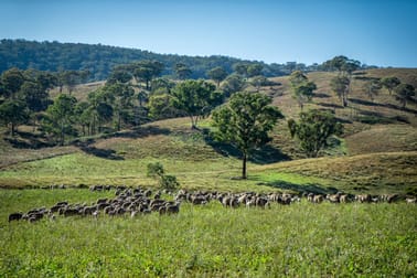 'Coonara' Perrams Road Ilford NSW 2850 - Image 3