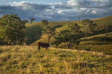 'Coonara' Perrams Road Ilford NSW 2850 - Image 3