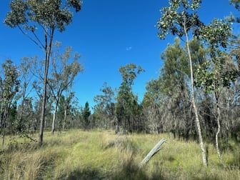 215 Emu Parade Tara QLD 4421 - Image 3