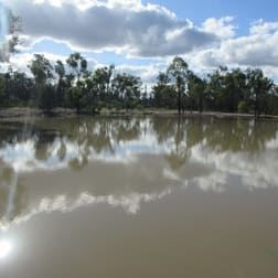 Tara QLD 4421 - Image 3