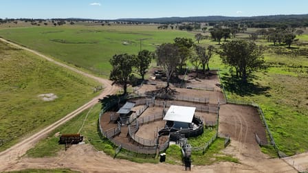 555 Palgrave Road Dalveen QLD 4374 - Image 1