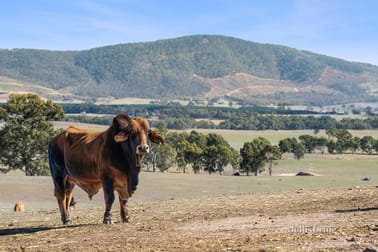 Lot 8 Ben Major Track Mount Lonarch VIC 3468 - Image 1