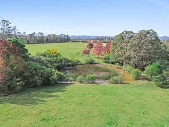 92 Powells Road Bilpin NSW 2758 - Image 2