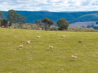 267 Claytons Road Oberon NSW 2787 - Image 3