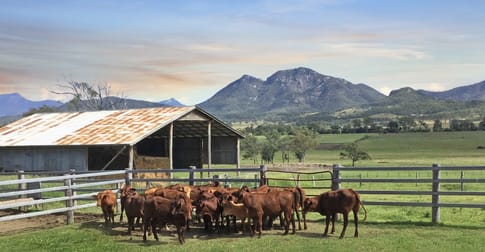 434 Carneys Creek Road Croftby QLD 4310 - Image 2