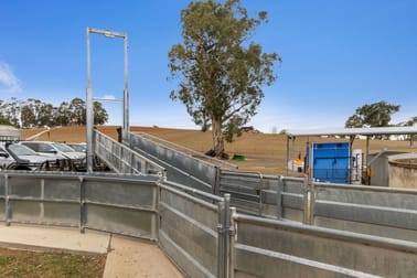 1482 Back Creek Road, Kingsvale (Via) Young NSW 2594 - Image 3