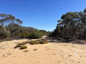 Lot 31 Black Hill Road Cambrai SA 5353 - Image 1