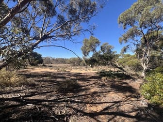 Lot 31 Black Hill Road Cambrai SA 5353 - Image 2