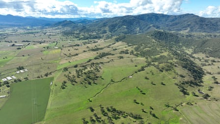 260 Mareeba Road Scone NSW 2337 - Image 2