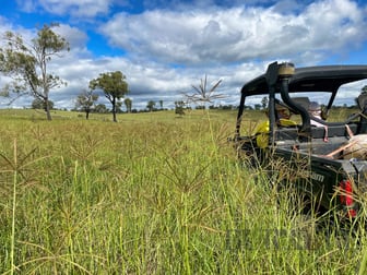 595 Walla Road Morganville QLD 4671 - Image 2