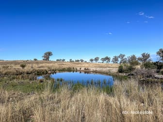 Lot 74 Wells Crossing Road Ashford NSW 2361 - Image 2
