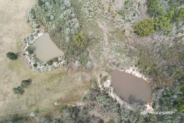 164 Yammacoona Estate Road Delungra NSW 2403 - Image 3