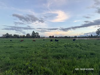 711 Wearnes Road Bundarra NSW 2359 - Image 2