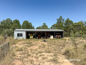 526 Bedwell Downs Road Ashford NSW 2361 - Image 3