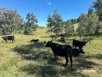 733 Upper Whitlow Road Bingara NSW 2404 - Image 3
