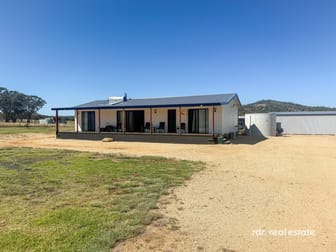 Lot 103/1986 Pindari Dam Road Ashford NSW 2361 - Image 1