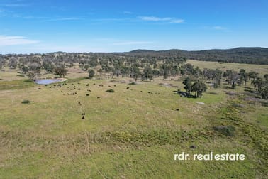 1305 Bingara Road Bundarra NSW 2359 - Image 1