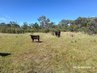 1305 Bingara Road Bundarra NSW 2359 - Image 3