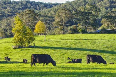 Dorrigo NSW 2453 - Image 1