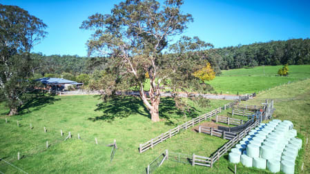 Dorrigo NSW 2453 - Image 3