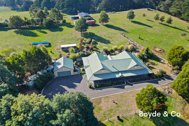 1416 Grand Ridge Road Trida VIC 3953 - Image 2