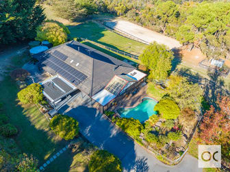 536 Cherry Gardens Road Cherry Gardens SA 5157 - Image 3