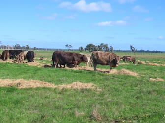 28 Mann Road Nillup WA 6288 - Image 1