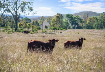 Lot 113 Glenhowden Road Colinton QLD 4314 - Image 2