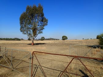 5427 Slaughterhouse Road Rutherglen VIC 3685 - Image 3