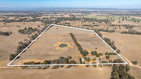 46 Gillmans Road Cornishtown VIC 3683 - Image 1