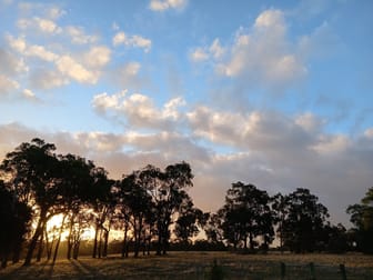 252 Jamieson Road Capel WA 6271 - Image 2