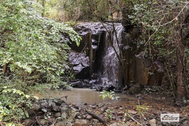681 Limpinwood Road Chillingham NSW 2484 - Image 3