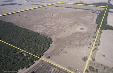 830 Waarbilla Road Barmedman NSW 2668 - Image 1