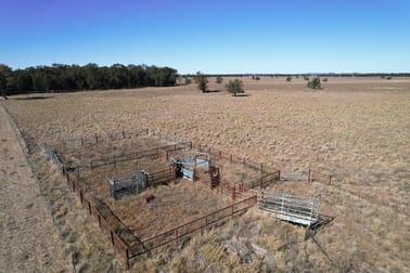 830 Waarbilla Road Barmedman NSW 2668 - Image 2