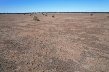 830 Waarbilla Road Barmedman NSW 2668 - Image 3