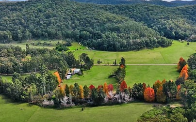 541 Yango Creek Road Laguna NSW 2325 - Image 2